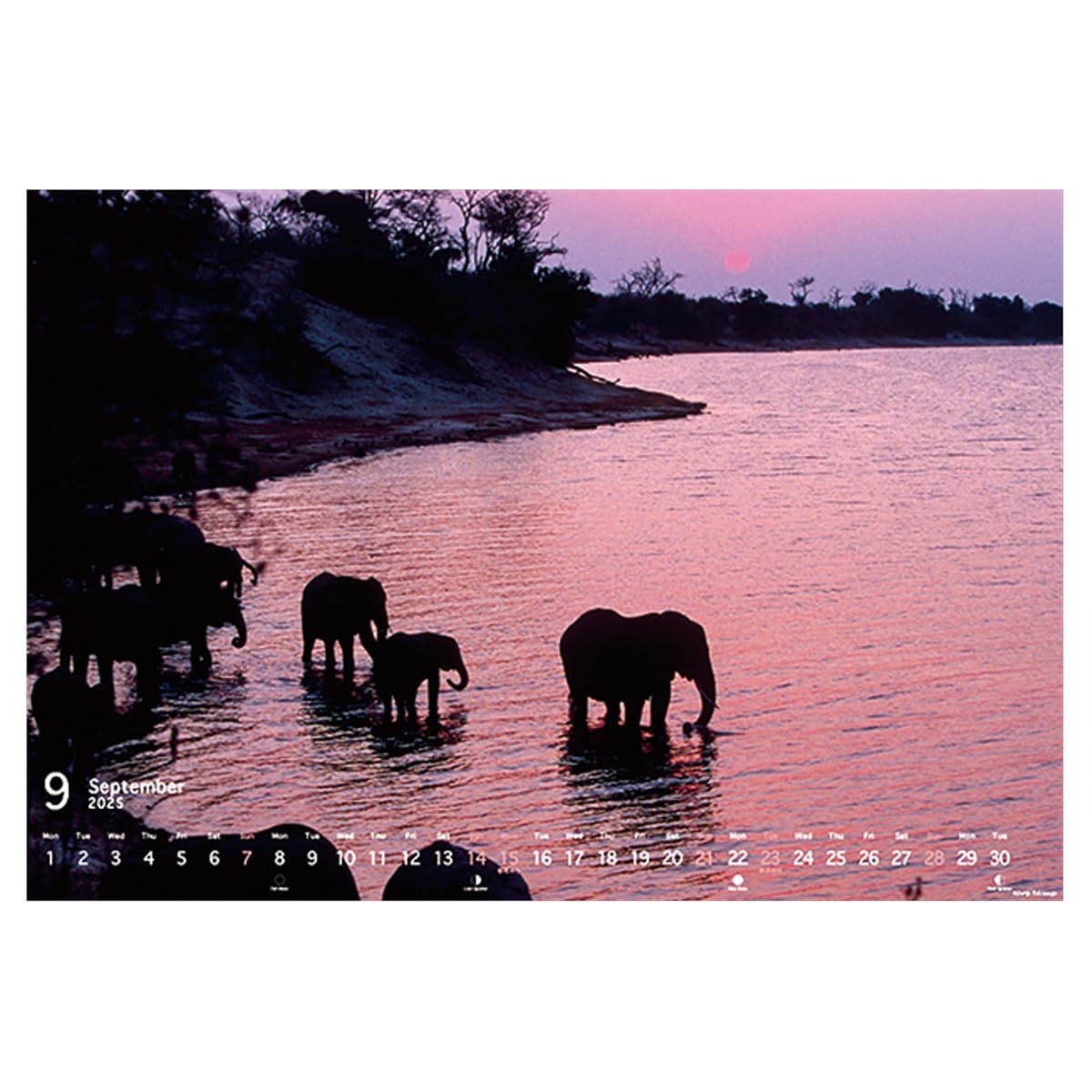 高砂淳二 たたずむ場所 プリント画 高砂淳二 たたずむ場所 プリント画